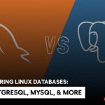 web hosting mysql jsp Mysql databases