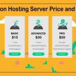 web hosting plans city Best web hosting for beginners (2023 reviews)