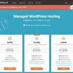 web hosting wordpress reviews Hosting whmcs thema webhosting