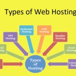 what is web hosting explain How web hosting works ? beginner's guide